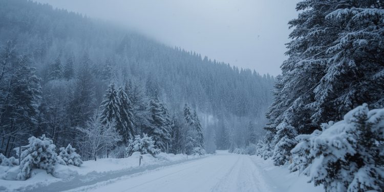 Schneefall in Österreich: Kaltfront senkt die Schneefallgrenze