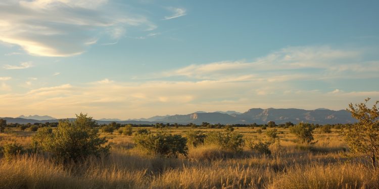 Texas kompakt: Reisetipps, Kosten, Events für Österreicher