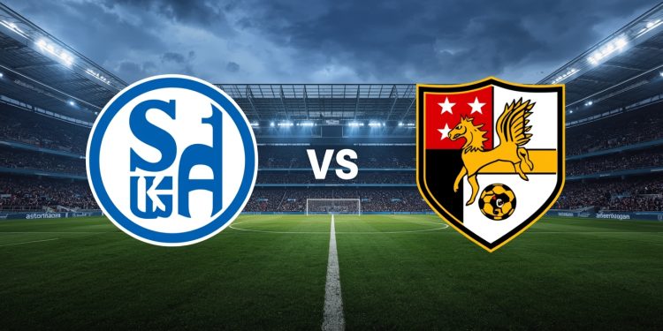 Schalke – Darmstadt 98 heute: TV, Aufstellung, Prognose