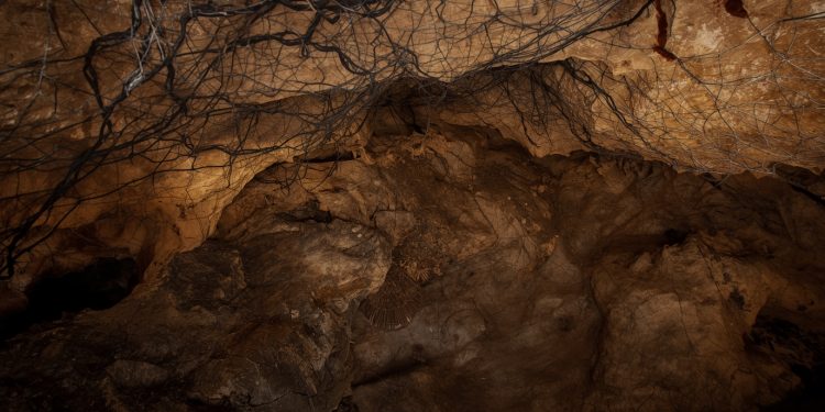 Größtes Spinnennetz entdeckt: 111.000 Spinnen in Schwefelhöhle