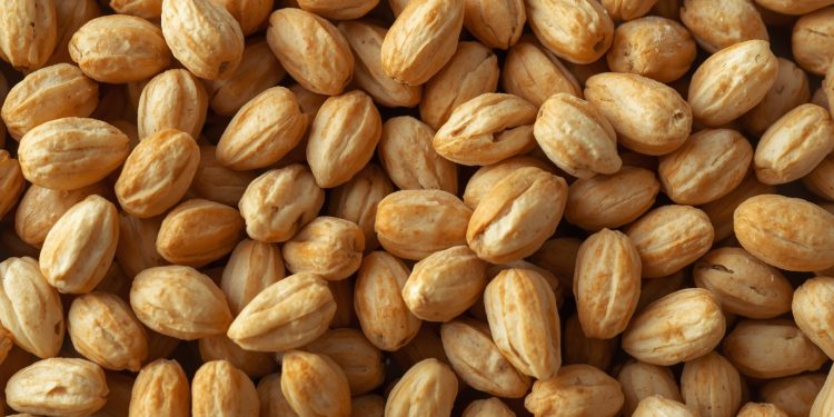 Sonnenblumenkerne im Trend – So gesund sind die kleinen Power-Snacks