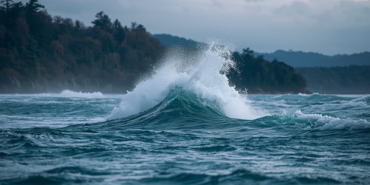 Starkes Erdbeben in Japan: Was jetzt wichtig ist