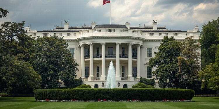 USA unter Trump Was seine Politik für Österreich bedeutet