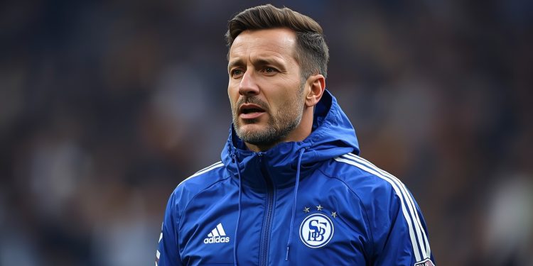 Schalke boomt wieder – wie der Traditionsklub den Aufstieg anpeilt